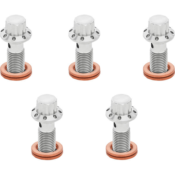 Arlen Ness - Bolt Banjo 5-pk 12 Point 3/8-24 Polished F/r Mc 00-07 Tour - 300-854