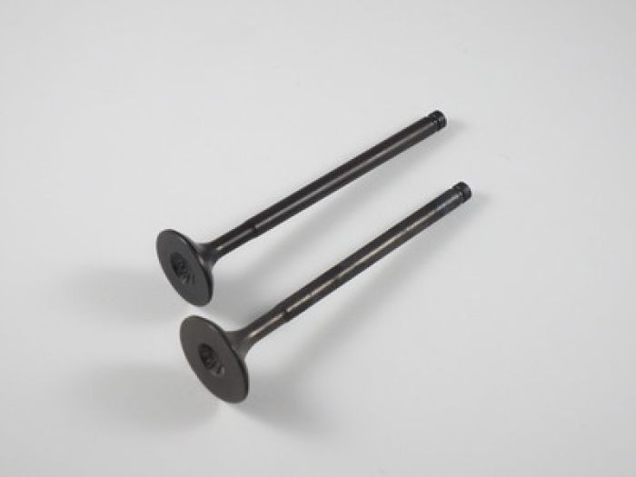 Shindy - Engine Valve Set Trx300ex (93-08) - 07-016