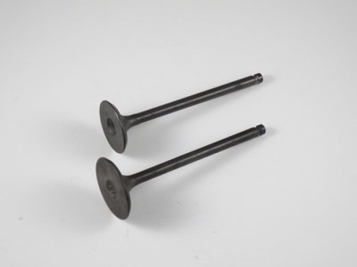 Shindy - Engine Valve Set Ltf230e/ge/f - 07-204