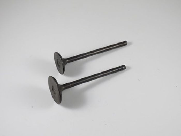 Shindy - Engine Valve Set Yfm250b (05-09) - 07-301