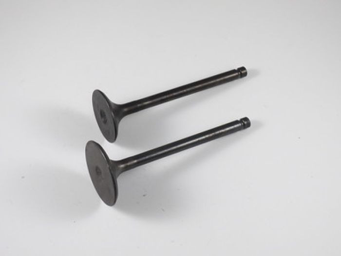 Shindy - Engine Valve Set Yfm450fa/fg - 07-312