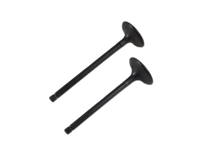 Shindy - Engine Valve Set Yfm660f/r - 07-313