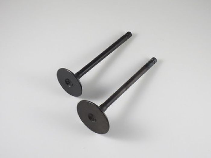 Shindy - Engine Valve Set Sportsman570 (14-17) - 07-403