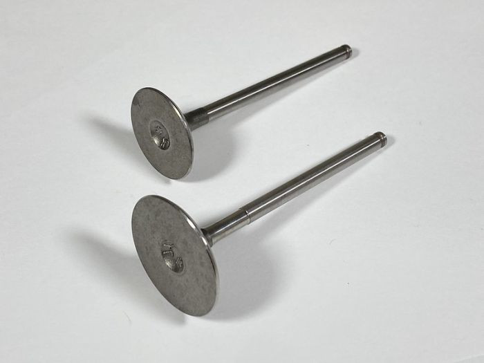 Shindy - Engine Valve Set 1000 Maverick (13-18) - 07-474