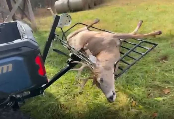 <p><font size="3">SIMPLE AND FAST</font></p><p><font size="3">Lift and transport directly to the hanging pole or cooler. With the Dead Lift, you can confidently carry a deer or cargo across fields, rough wooded trails, old logging roads, gravel, or paved roads— knowing your load is secure. And best of all, it saves your back in the process.</font></p><p><font size="3"><br></font></p><p><font size="3">DIFFICULT RETRIEVALS MADE EASIER</font></p><p><font size="3">With Dead Lift, pulling a deer from a deep creek or ravine is much easier than traditional methods. By extending the platform over the edge, the strap drops straight down without digging into the dirt bank. It then lifts the deer straight up and away from any obstructions, placing it directly onto the platform for transport.</font></p><p><font size="3"><br></font></p><p><font size="3">CONVENIENT AND SAFE</font></p><p><font size="3">So easy to load, lift, and transport! Retrieving a deer in the dark—especially when alone—is now effortless and even enjoyable. Designed and built for strength and reliability.</font></p><p><font size="3"><br></font></p><p><font size="3">LESS MESS</font></p><p><font size="3">Dried blood and mud on the sides or back of your vehicle can be a hassle to scrub or power wash off. With Dead Lift, you can keep your truck bed and gear clean while transporting your deer with ease.</font></p><p><font size="3"><br></font></p><p><font size="3">PLATFORM TILT/DUMP</font></p><p><font size="3">Removing the hinge pin lets you tilt and dump a load from the raised position. Alternatively, with the pin removed, the platform tilts as it lifts for a controlled, ground-level dump on softer terrain.</font></p><p><font size="3"><br></font></p><p style="scrollbar-color: rgb(78, 82, 84) rgb(22, 25, 26); font-size: medium;"><font size="3" style="scrollbar-color: rgb(78, 82, 84) rgb(22, 25, 26);">Weight Rating:</font></p><p style="scrollbar-color: rgb(78, 82, 84) rgb(22, 25, 26); font-size: medium;"><font size="3" style="scrollbar-color: rgb(78, 82, 84) rgb(22, 25, 26);"></font></p><p style="scrollbar-color: rgb(78, 82, 84) rgb(22, 25, 26); font-size: medium;"><font size="3" style="scrollbar-color: rgb(78, 82, 84) rgb(22, 25, 26);">System Capacity: 300 lbs.<br style="scrollbar-color: rgb(78, 82, 84) rgb(22, 25, 26);">Basket only capacity: 500 lbs.</font></p><p style="scrollbar-color: rgb(78, 82, 84) rgb(22, 25, 26); font-size: medium;"><font size="3" style="scrollbar-color: rgb(78, 82, 84) rgb(22, 25, 26);"><br></font></p><p style="scrollbar-color: rgb(78, 82, 84) rgb(22, 25, 26); font-size: medium;"><font size="3" style="scrollbar-color: rgb(78, 82, 84) rgb(22, 25, 26);">NOTICE:&nbsp;</font></p><p style="scrollbar-color: rgb(78, 82, 84) rgb(22, 25, 26); font-size: medium;"><font size="3" style="scrollbar-color: rgb(78, 82, 84) rgb(22, 25, 26);"><span style="font-size: 16px;">Dead Lift Arm Assembly Only</span></font></p><p style="scrollbar-color: rgb(78, 82, 84) rgb(22, 25, 26); font-size: medium;">Winch / hand crank winch <strong>NOT INCLUDED</strong> and is required to operate.&nbsp;</p><p style="scrollbar-color: rgb(78, 82, 84) rgb(22, 25, 26); font-size: medium;"><strong>Basket NOT INCLUDED</strong> and must be purchased separately.</p><br><br><p>Sold Separately:</p><p style="scrollbar-color: rgb(78, 82, 84) rgb(22, 25, 26); font-size: medium;"><font size="3" style="scrollbar-color: rgb(78, 82, 84) rgb(22, 25, 26);">112685&nbsp;</font>Dead Lift - Basket (required)</p><p style="scrollbar-color: rgb(78, 82, 84) rgb(22, 25, 26); font-size: medium;"><font size="3" style="scrollbar-color: rgb(78, 82, 84) rgb(22, 25, 26);">112680&nbsp;</font>Dead Lift Pulley (optional)</p>