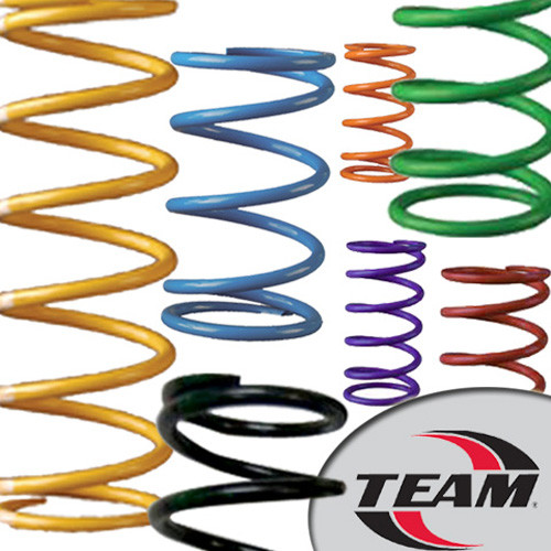 <p>Fine-tune your clutch with TEAM primary and secondary springs manufactured from the highest quality materials</p><p>Multiple spring rates let you tune to get the full potential out of you Rapid Reaction clutch</p><p>Available for Arctic Cat, Polaris, Ski-Doo and Yamaha clutches  </p>