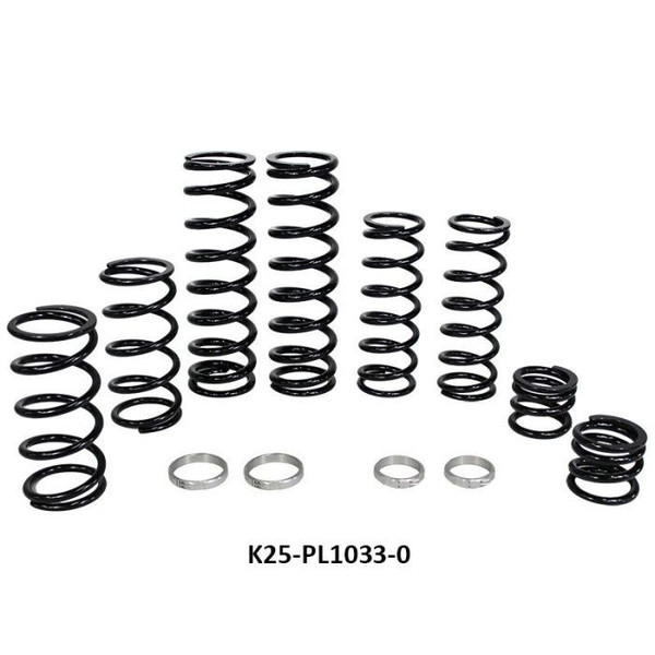 Polaris RZR Pro XP 4 Stage 1 Dual Rate Spring Kit (Fox Dynamix Shock) - Zbros Racing