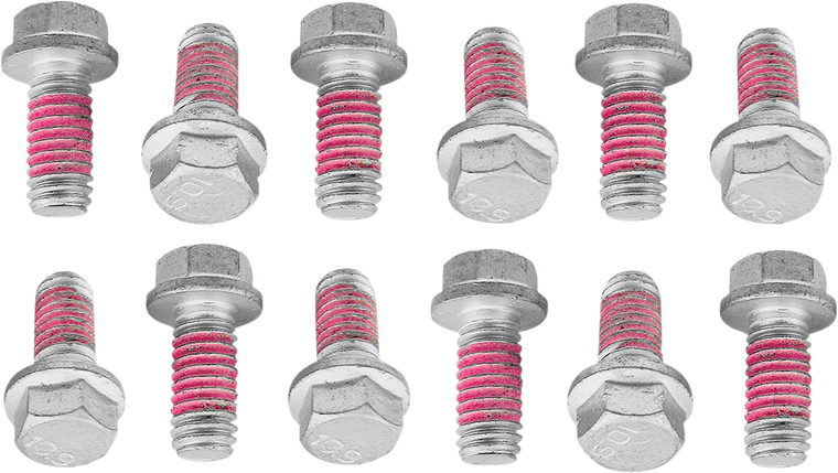 Bolt - Rotor Bolt - KTM - 12-Pack - Rotor Bolt Kit - 2009-KTMRTR