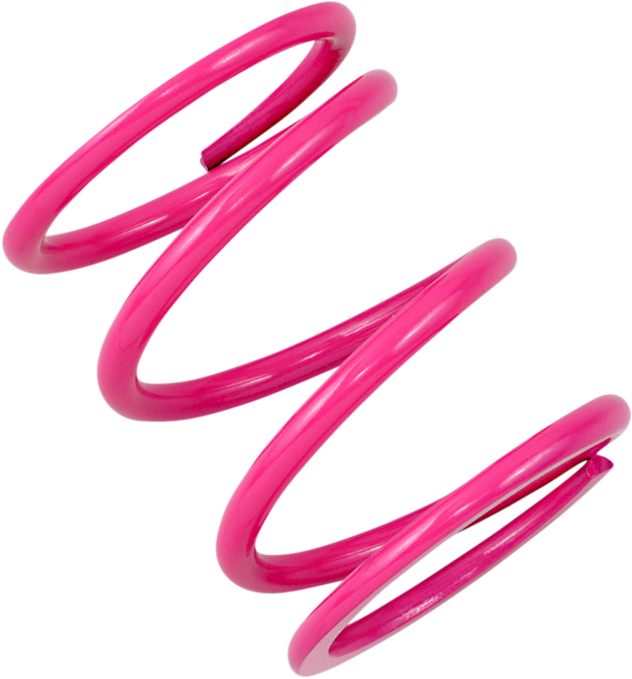 Epi - Primary Spring - Polaris - Primary Clutch Spring Polaris - PATV8