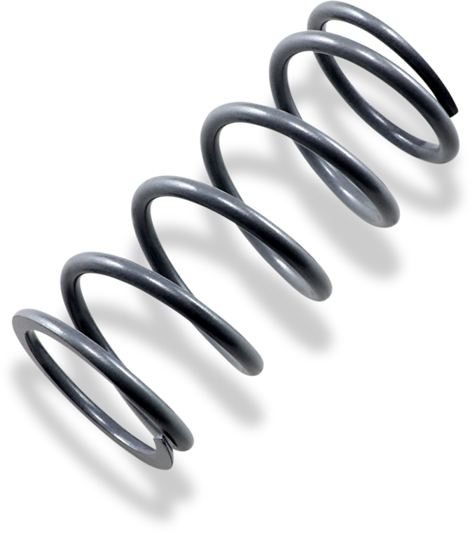 Epi - Primary Spring - Primary Clutch Spring - PS-6