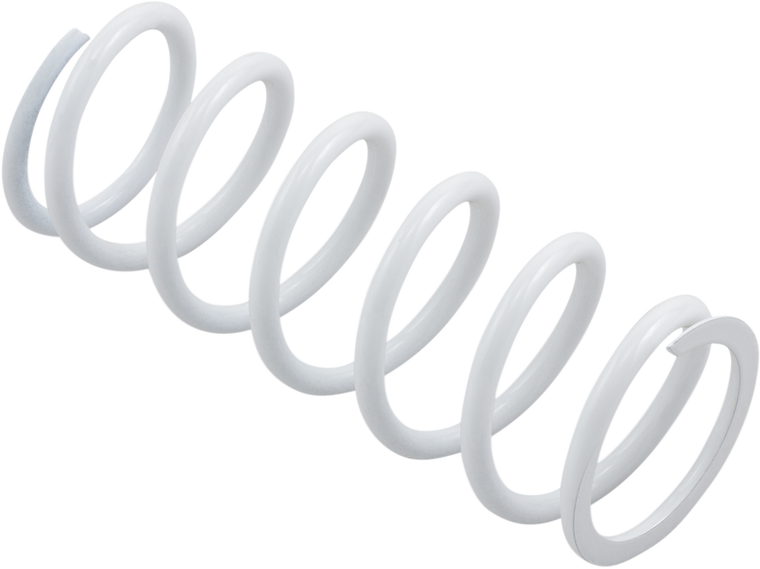 Epi - Primary Spring - Primary Clutch Spring - SDPS-3