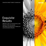 Xerox Genuine Phaser™ 6600, WorkCentre™ 6605 Cyan Standard capacity Toner Cartridge - 106R02245
