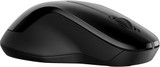 HP 250 Dual Mouse - 6V2J7AA