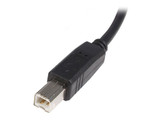 StarTech.com 5m USB 2.0 A to B Cable - M/M - USB2HAB5M