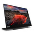Lenovo ThinkVision M14t computer monitor 35.6 cm (14") 2240 x 1400 pixels LED Touchscreen Black - 63FDUAT6WL