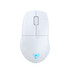 Turtle Beach Pure Air - Ultra-Light Wireless Ergonomic RGB Gaming Mouse, 26K DPI Optical Sensor, 125 hour Battery, Dual Wireless System, TITAN Optical Switches, Bluetooth, RGB Illumination. Semi-translucent White - TBM-1102-15
