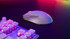 Turtle Beach Pure Air - Ultra-Light Wireless Ergonomic RGB Gaming Mouse, 26K DPI Optical Sensor, 125 hour Battery, Dual Wireless System, TITAN Optical Switches, Bluetooth, RGB Illumination. Semi-translucent White - TBM-1102-15