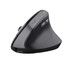 Trust Bayo II mouse Medical Right-hand RF Wireless Optical 2400 DPI - 25145