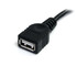 StarTech.com 3 ft Black USB 2.0 Extension Cable A to A - M/F - USBEXTAA3BK