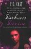 P. C. Cast / Darkness Divine