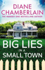 Diane Chamberlain / Big Lies in a Small Town (Large Paperback)