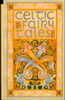 Joseph Jacobs / Celtic Fairy Tales (Large Paperback)