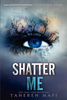 Tahereh Mafi / Shatter Me (Large Paperback)