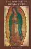 Francis Johnston / The Wonder of Guadalupe (Large Paperback)