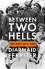 Diarmaid Ferriter - Between Two Hells : The Irish Civil War - HB - 2021