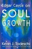 Kevin J. Todeschi / Soul Development (Large Paperback)
