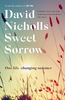 David Nicholls / Sweet Sorrow (Large Paperback)