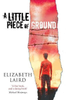 Elizabeth Laird / A Little Piece of Ground