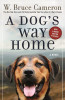 W. Bruce Cameron / A Dog's Way Home (Large Paperback)