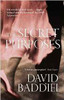 David Baddiel / The Secret Purposes