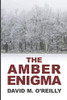David M. O'Reilly / The Amber Enigma (Large Paperback)