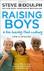 Steve Biddulph / Raising Boys in the 21st Century (Large Paperback)