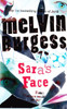 Melvin Burgess / Sara's Face