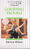 Mills & Boon / Enchanted / Courting Trouble