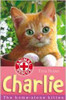 Tina Nolan / Charlie: The Home-alone Kitten (Animal Rescue)
