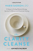 Habib Sadeghi / The Clarity Cleanse: 12 Steps to Finding Renewed Energy, Spiritual Fulfilment and Emotional Healing (Large Paperback)