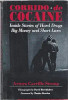 Arturo Carrillo Strong / Corrido De Cocaine: Inside Stories of Hard Drugs, Big Money and Short Lives (Hardback)