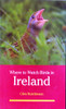 Clive Hutchinson / Where to Watch Birds in Ireland (Large Paperback)