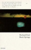 Richard Ford / Rock Springs