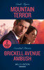 Mills & Boon / Heroes / 2 in 1 / Mountain Terror / Brickell Avenue Ambush