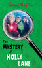 Enid Blyton / The Mystery of Holly Lane (Hardback)