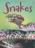 James MacLaine / Snakes (Hardback)( Usborne Publishing)