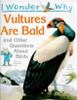 Amanda O'Neill / I Wonder Why Vultures Are Bald (Children's Picture Book)