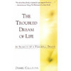 Daniel Callahan / The Troubled Dream of Life : In Search of a Peaceful Death (Large Paperback)