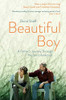 David Sheff / Beautiful Boy - A Father's Journey Through His Son's Addiction