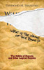 Raymond M. Smullyan / What Is the Name of This Book?: The Riddle of Dracula and Other Logical Puzzles (Large Paperback)